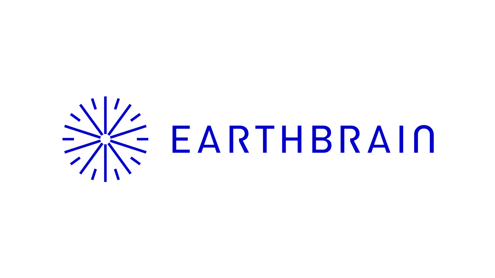  EARTHBRAIN 